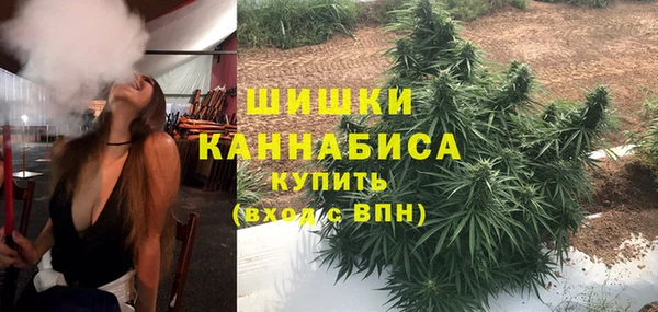 тгк Переславль-Залесский