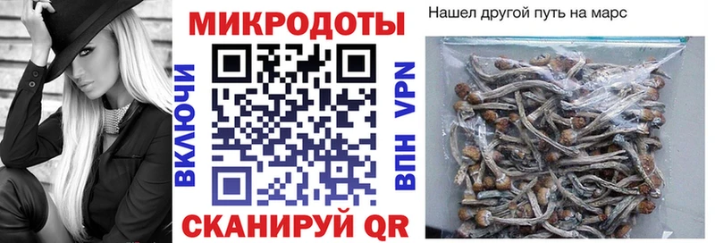Галлюциногенные грибы ЛСД  закладки  Сельцо 