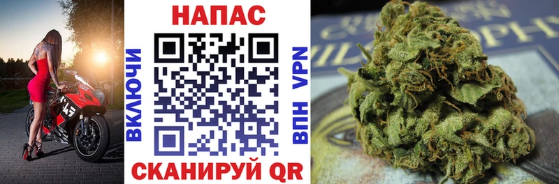 где найти наркотики  Сельцо  Бошки Шишки AK-47 